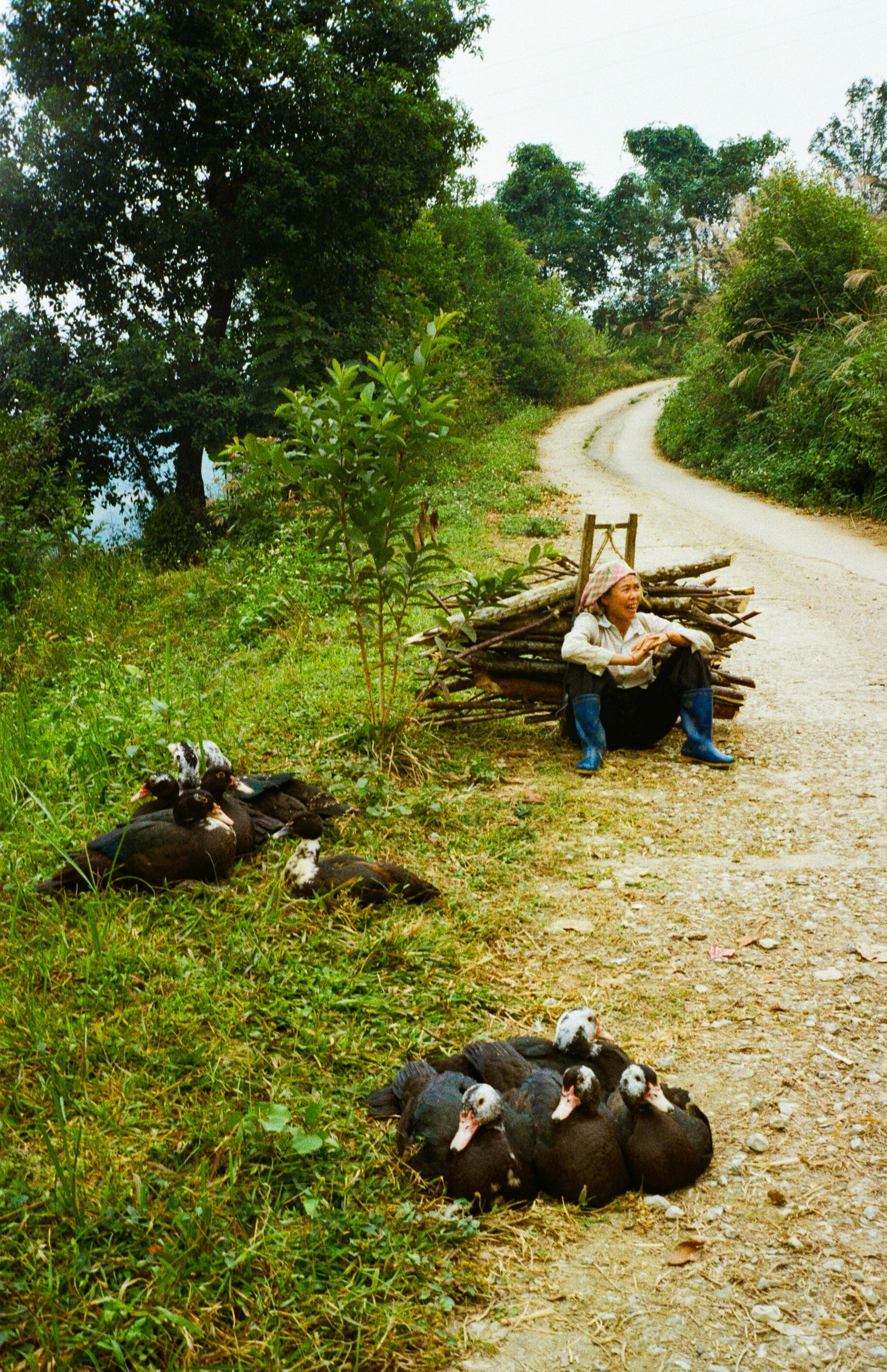 Nam Toong, Vietnam