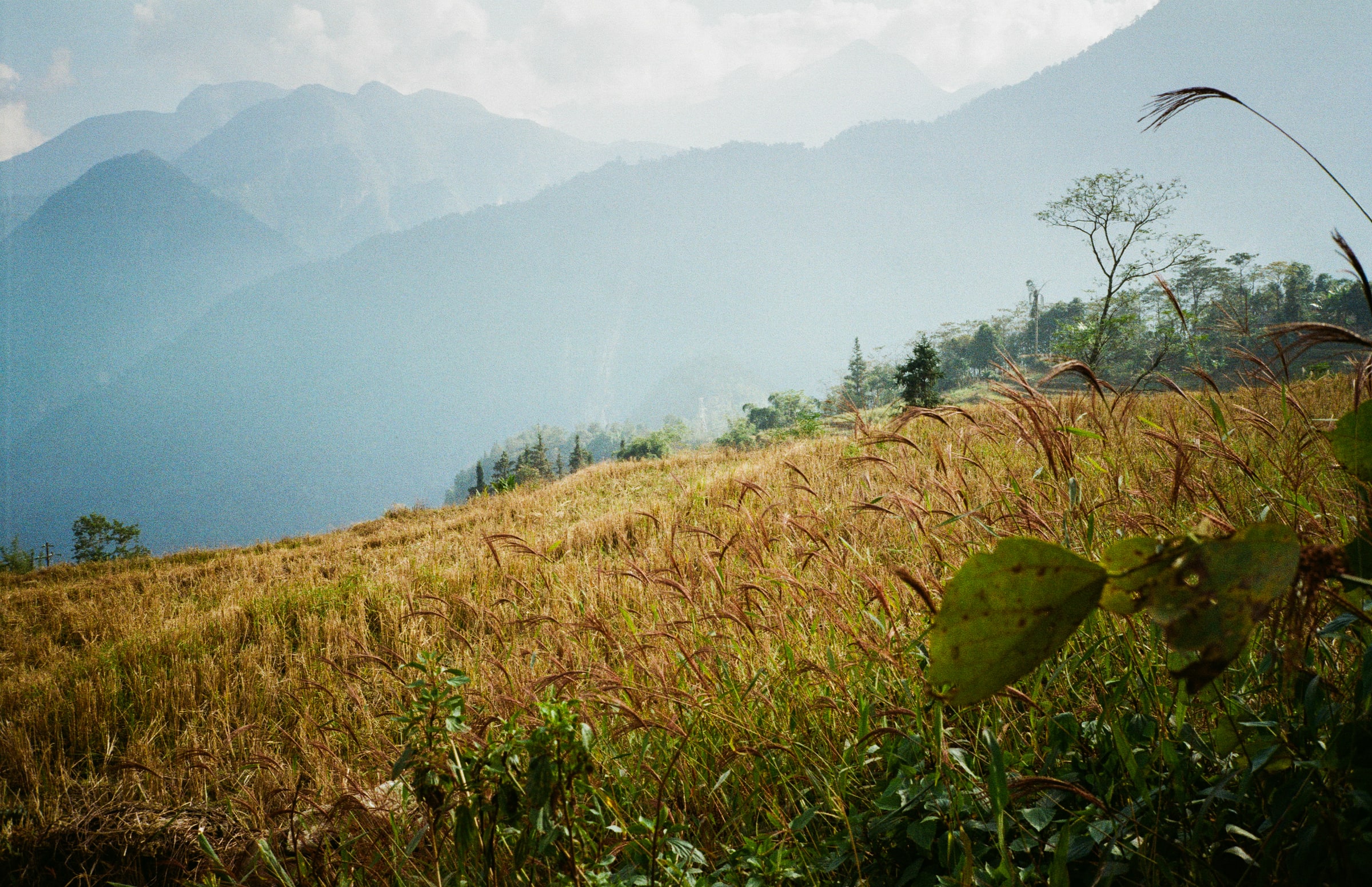 Sapa, Vietnam