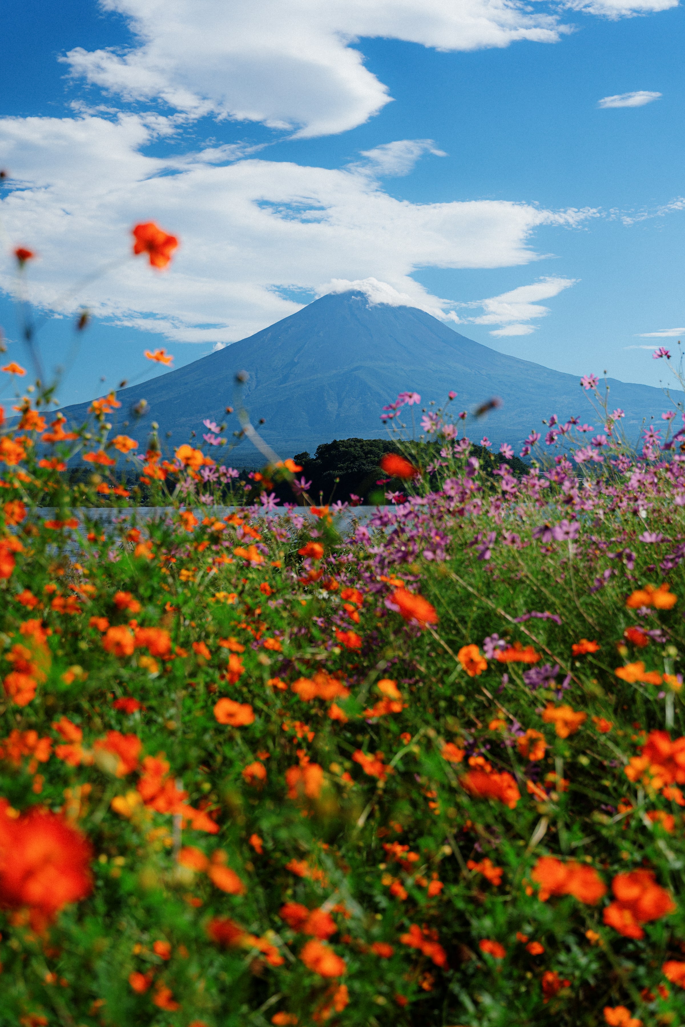 Fujikawaguchiko, Japan