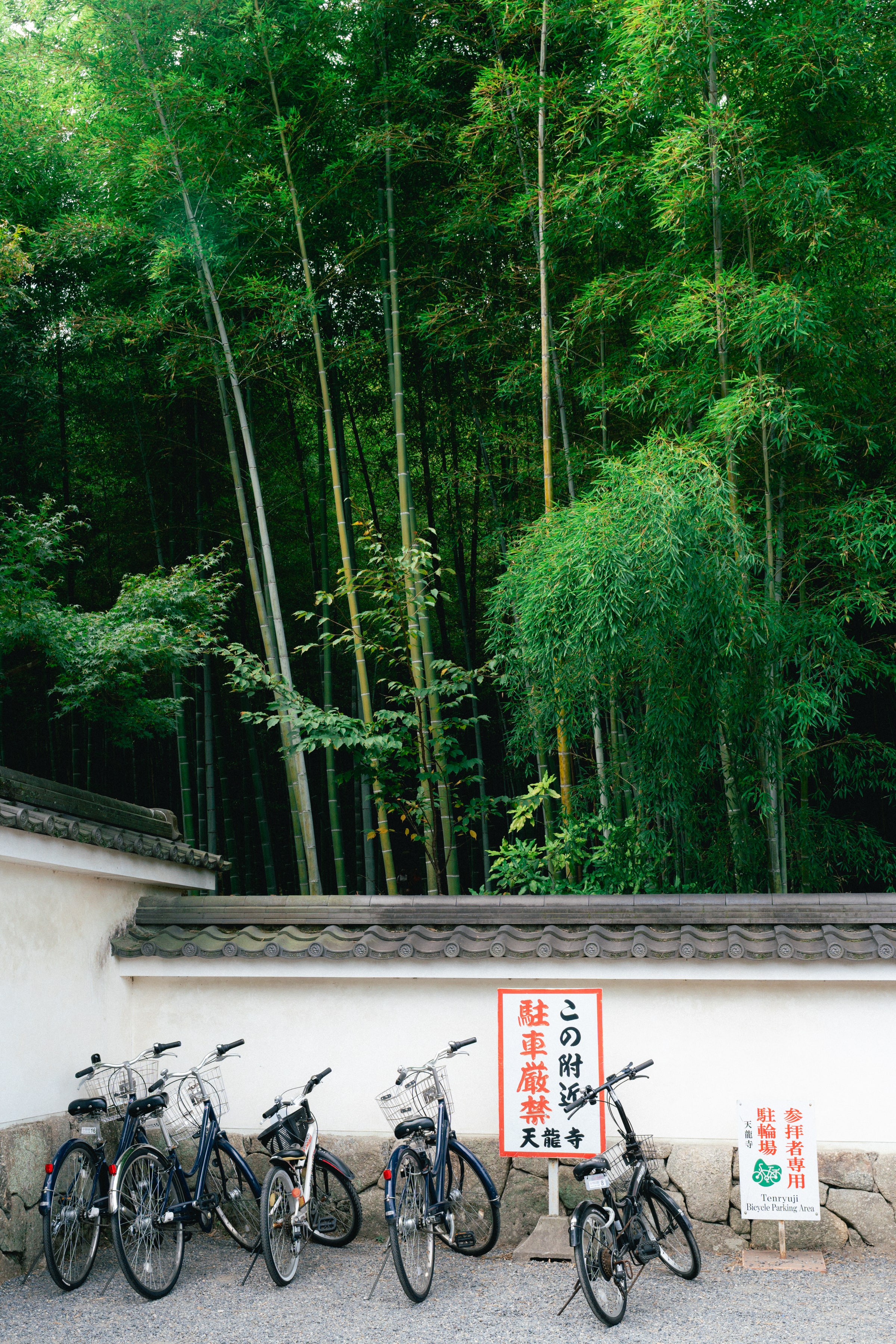 Arashiyama, Japan